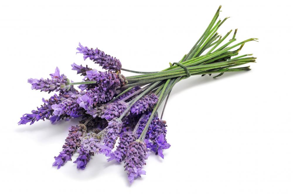 Alfabio - Room Sprays Lavendel 100ml