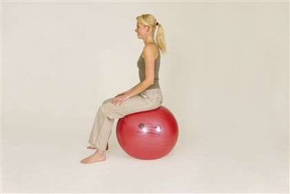 Sissel - Securemax exercise ball - zitbal - 55cm - rood