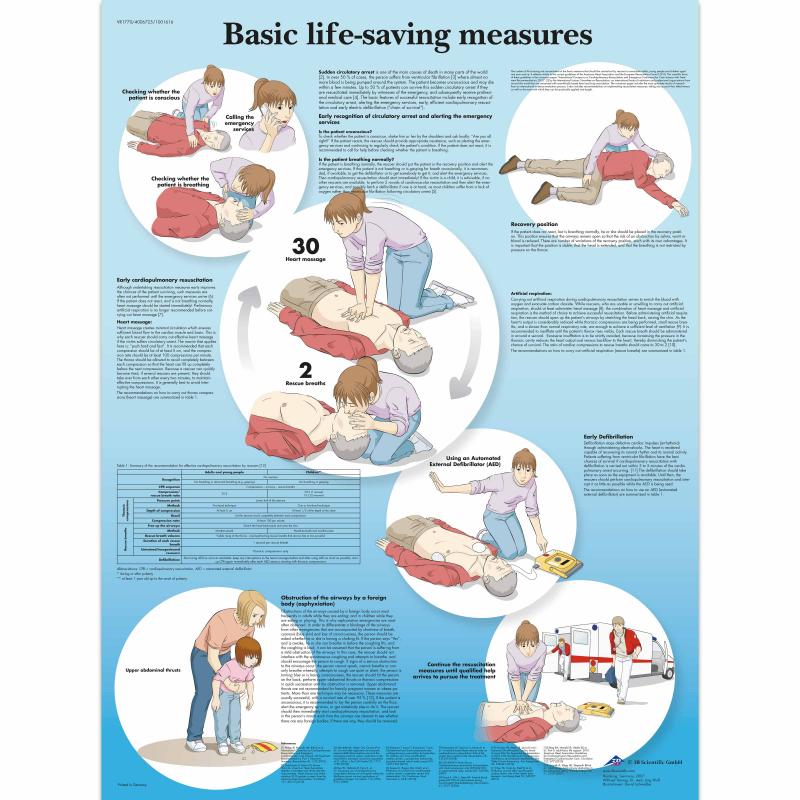 Wandkaart: Basic life support